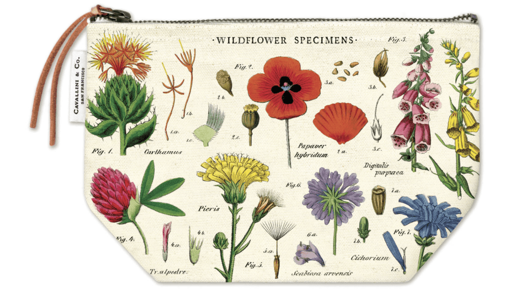 Cavallini & Co  Pouch | Wildflowers available at Rose St Trading Co