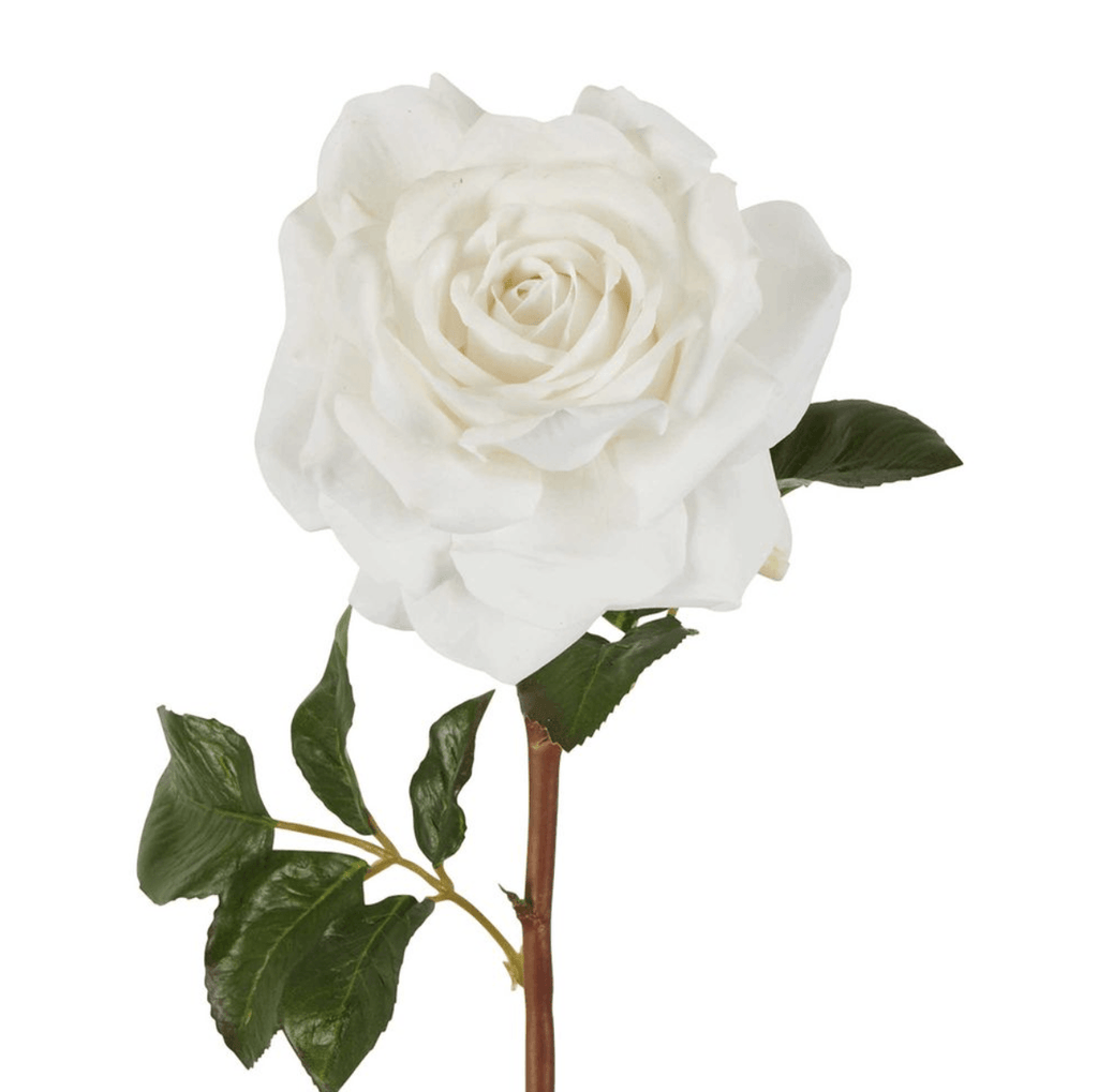 RSTC  Real Touch Rose Stem | White available at Rose St Trading Co