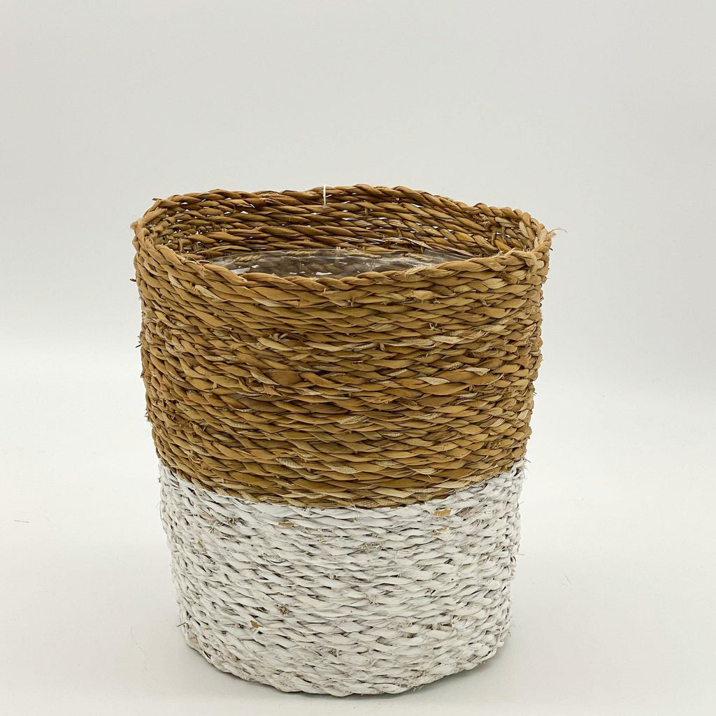 RSTC  Seagrass Planters | White Dipped available at Rose St Trading Co