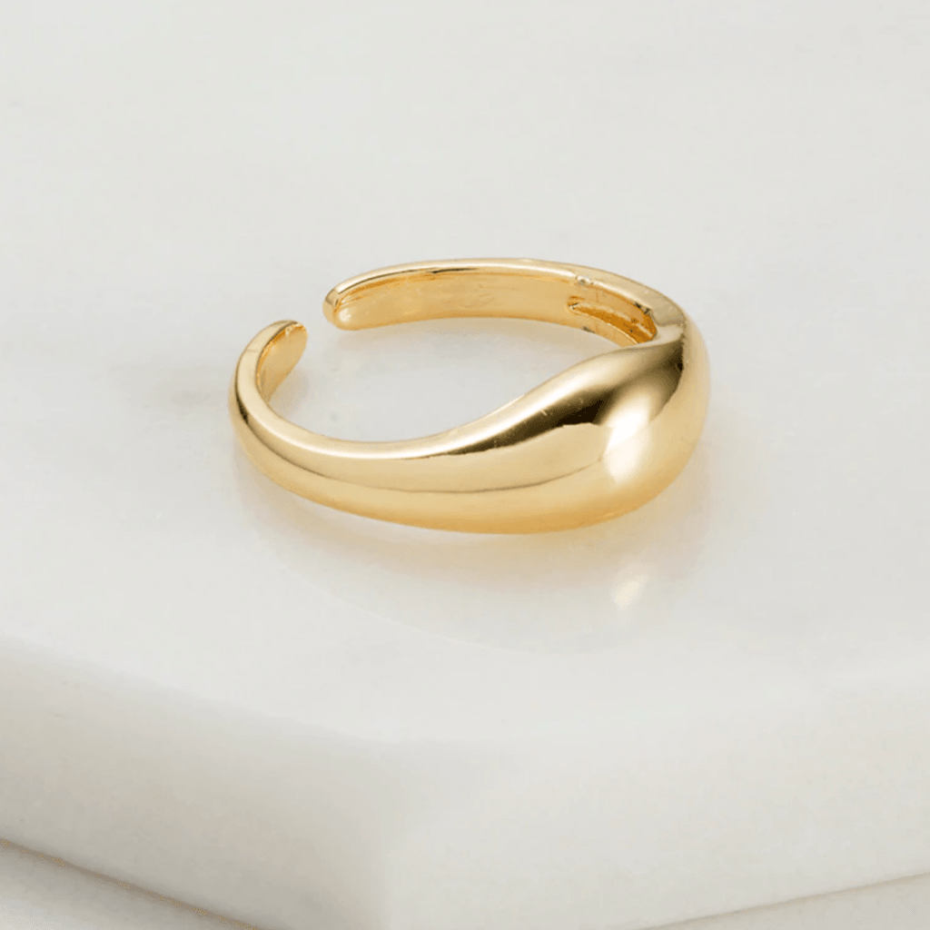 Zafino  Simple Ring | Gold available at Rose St Trading Co