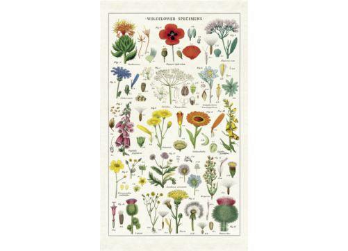 Cavallini & Co  Tea Towel | Wildflower available at Rose St Trading Co