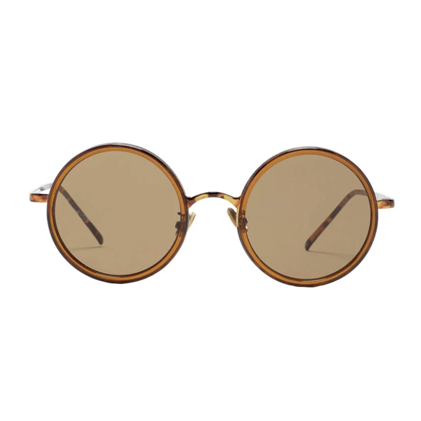 Reality  The Foundry | Turtle available at Rose St Trading Co