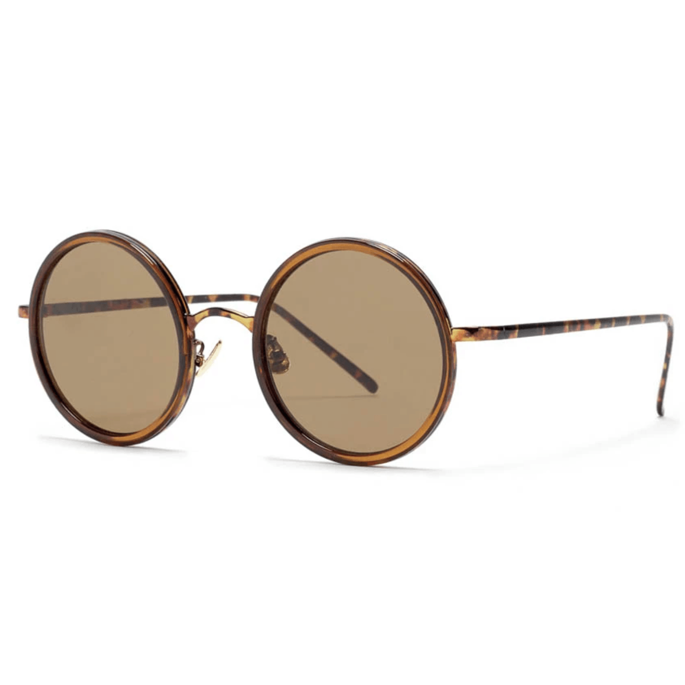 Reality  The Foundry | Turtle available at Rose St Trading Co