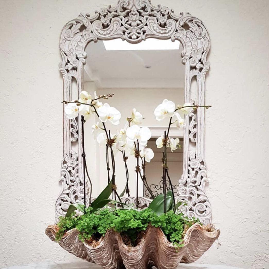 RSTC  Vintage Clam Giant - 77cm available at Rose St Trading Co