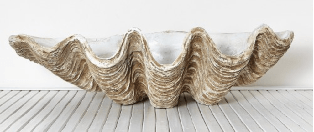 RSTC  Vintage Clam Giant - 77cm available at Rose St Trading Co