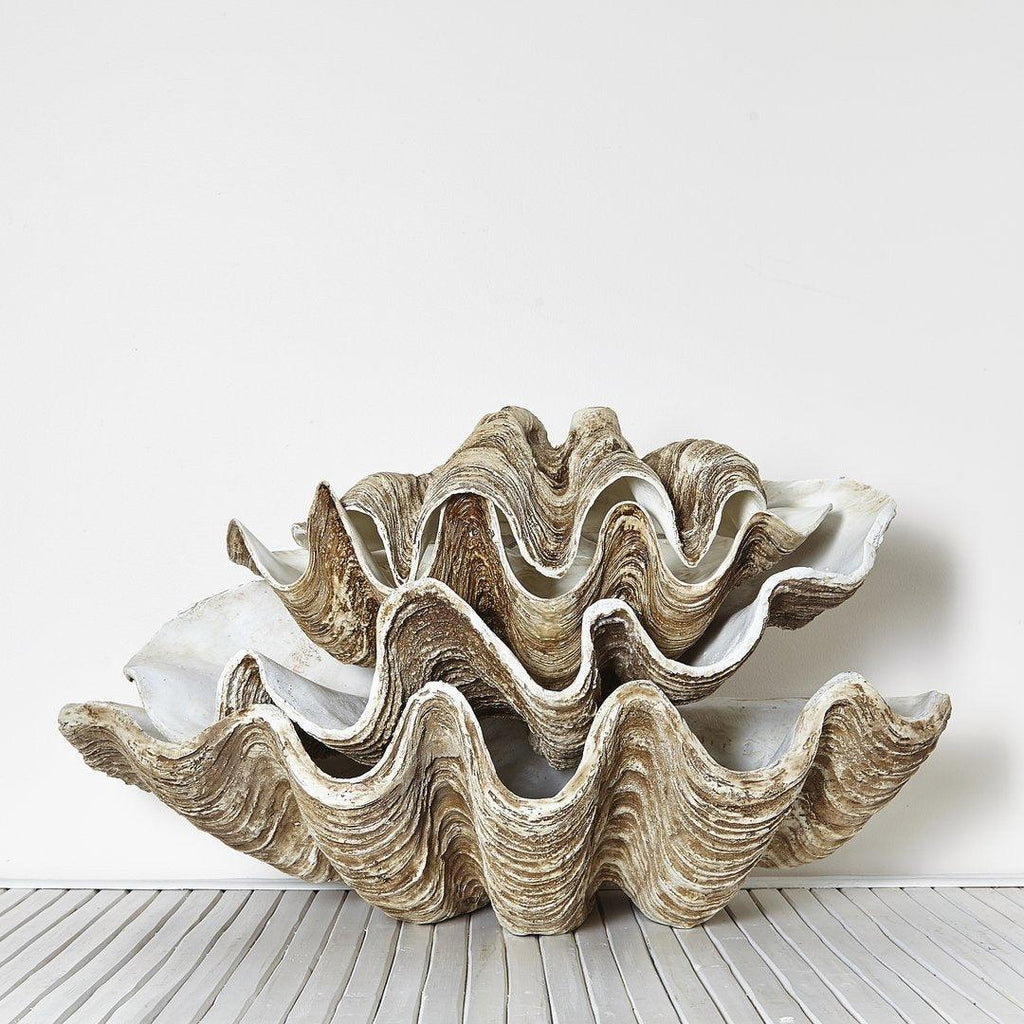 RSTC  Vintage Clam Shell - Large  69cm available at Rose St Trading Co