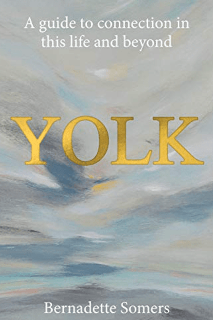 Book Publisher  Yolk available at Rose St Trading Co